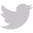 twitter icon